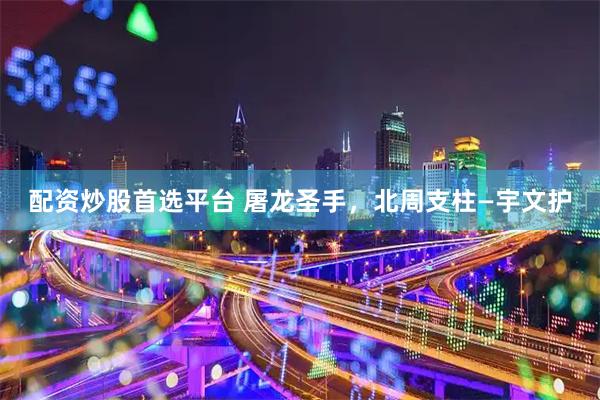 配资炒股首选平台 屠龙圣手，北周支柱—宇文护